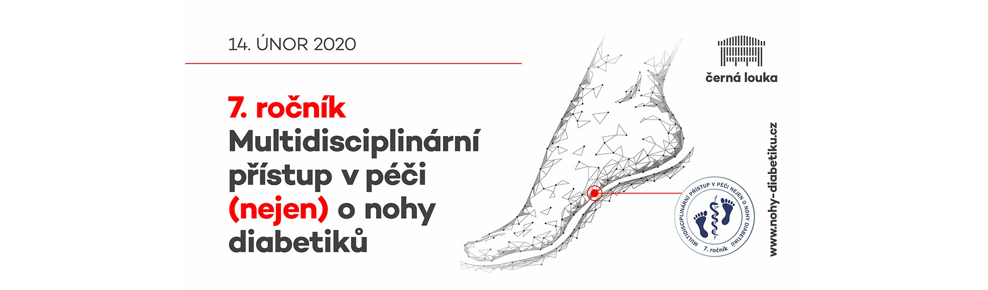 Multidisciplinární přístup v péči (nejen) o nohy diabetiků.